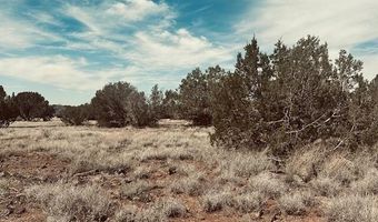 Lot 43se Tides Trl, Ash Fork, AZ 86320