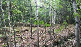 B-2BackLot Pioneer Path, Aurora, ME 04605