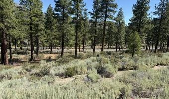 3265 Summit Camp Way C24/310, Carson City, NV 89705