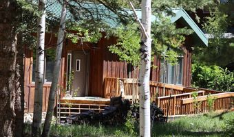 11109 County Road 742, Almont, CO 81210