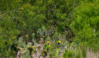 FM 735, Alice, TX 78332
