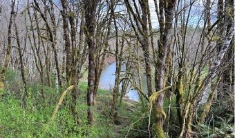 Northrup Creek Rd, Birkenfeld, OR 97016