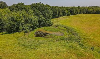 2141 Rs County Road 2250, Alba, TX 75410