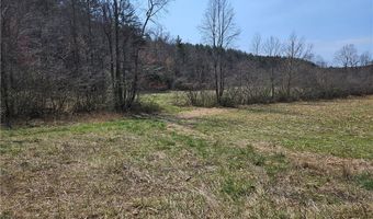 1827 Willis Gap Rd 104, Ararat, VA 24053