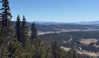 0 County Road 787, Alma, CO 80420