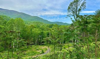 Pumpkin Patch Road, Bakersville, NC 28705