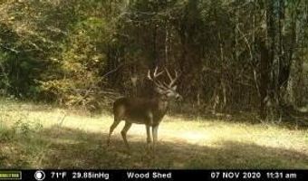 000 Hwy 105, Atkins, AR 72823