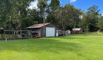 NA 2423 Chicora State Line Road, Buckatunna, MS 39322