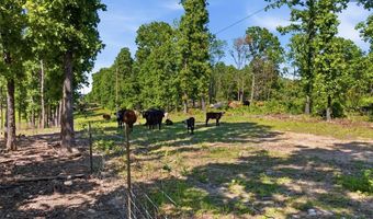 210 County Road 320, Alton, MO 65606