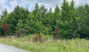 Lot 1-C Daniels Lane, Bennettsville, SC 29512