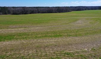0 Tervin Mill Rd, Andalusia, AL 36421