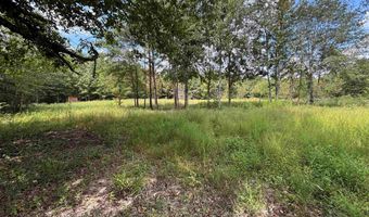 6150 SHOAL CREEK Rd 124+/- Acres, Ashville, AL 35953