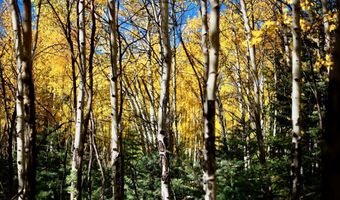 1 The Ranch At Angel Fire, Angel Fire, NM 87710