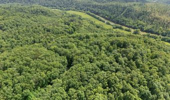 2401 Bell Point Rd, Beattyville, KY 41311