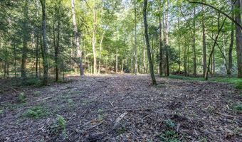 23 59 Ac Chestnut Flats Rd, Andrews, NC 28901