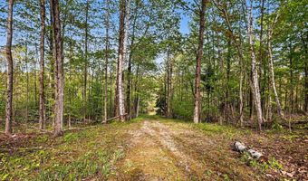 1900 N Forest Lake Dr, Alger, MI 48610