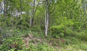 V/L Wolf Crossing, Bakersville, NC 28705