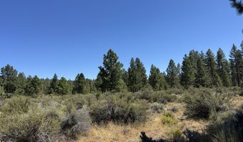 Bufflehead Drive 18, Bonanza, OR 97623