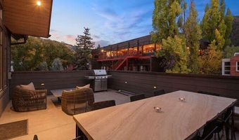 719 E Hopkins Ave 202, Aspen, CO 81611