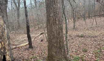 HARDWARE RD lot C2, Arvonia, VA 23004