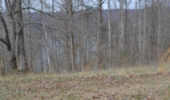 Fox Hill Road lot 4 & 5, Baxter, TN 38544