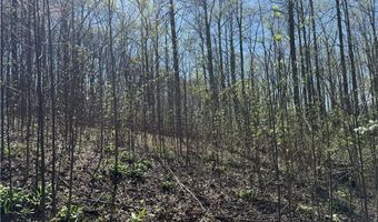 Tbd Katie Lane, Bakersville, NC 28705