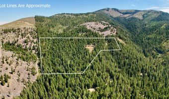 1710 Tower Mountain Rd, Blanchard, ID 83804