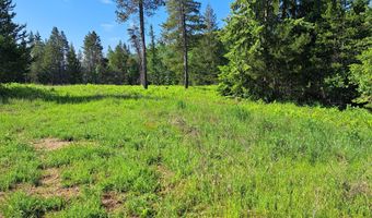 Nka Otter Lane, Bonners Ferry, ID 83805