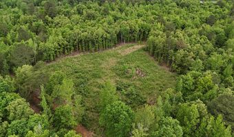 6020 Eaglewood Ln, Birchwood, TN 37308