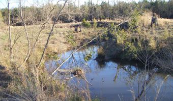 tbd 54.89 Acres N Hwy 53, Arkadelphia, AR 71923