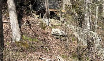 1679 Poplar Knob Rd, Austinville, VA 24312