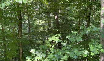 Stoneway Court lot 926, Baneberry, TN 37890