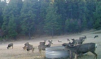 28111 County Rd 41.4, Aguilar, CO 81020