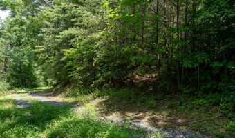 Lot 51 Grand View Falls 51, Andrews, NC 28901