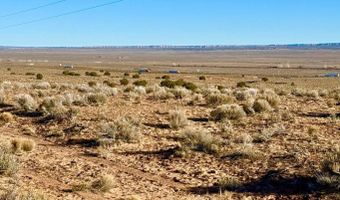 N7009 40 Acres, Chambers, AZ 86502