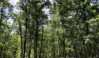TBD Wilderness WY, Anderson, MO 64831