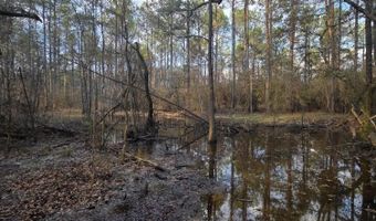 U.S. Highway 51, Bogue Chitto, MS 39629