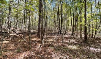 0 Hwy 8, Aberdeen, MS 39730