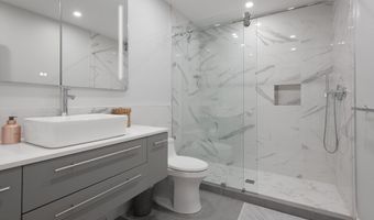 120 S Spring St 1, Aspen, CO 81611