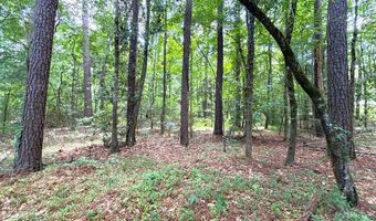 Dixon Ln SE, Bogue Chitto, MS 39629