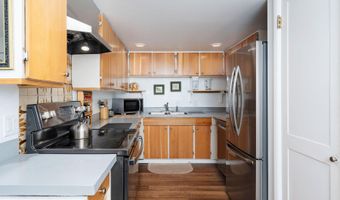 979 Queen St, Aspen, CO 81611