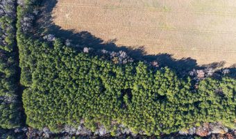 FOLLY CREEK RD, Accomac, VA 23301