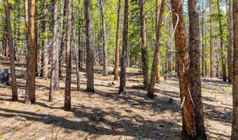 715 Lewsader Rd Lot 0, Alma, CO 80420