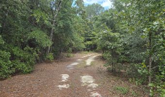 317 R J Johnson Rd, Allendale, SC 29810