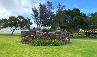 67-1234 PANALEA St, Kamuela, HI 96743