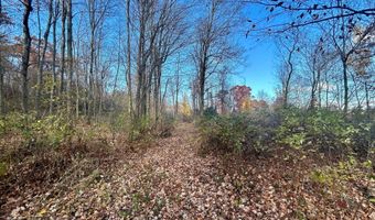 125 Th St, Amery, WI 54001
