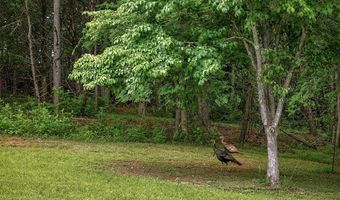 9576 Willow Grove Hwy, Allons, TN 38541