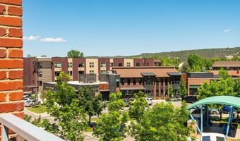 231 Robinson St 320, Basalt, CO 81621