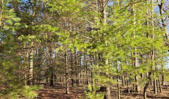 ON FARMING RD N lot 2, Arbor Vitae, WI 54568