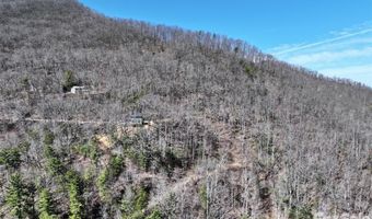 11 Taryn Trce 16, Barnardsville, NC 28709
